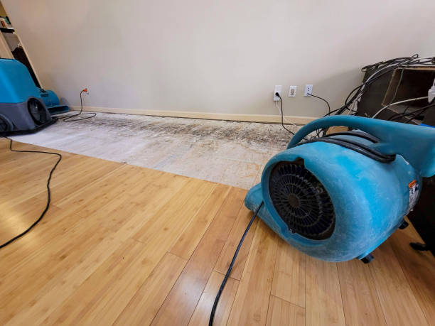 Professional Water Damage Repair technician working in Commerce, CA